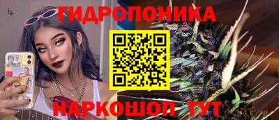 кокс Лесосибирск