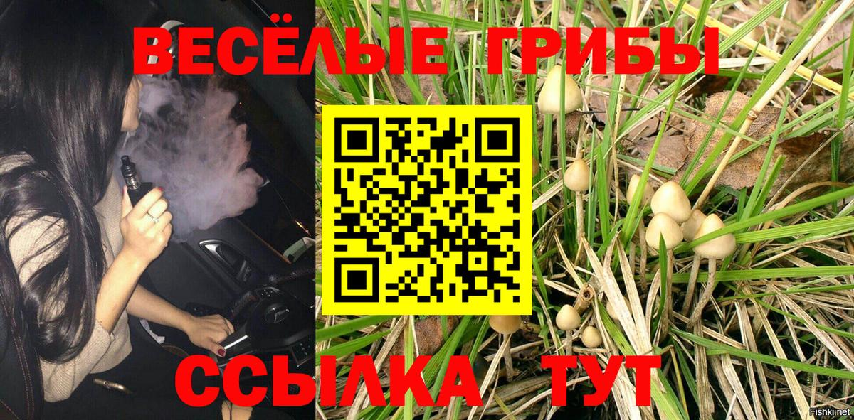 Пугачёв  Псилоцибиновые грибы мицелий  Псилоцибиновые грибы GOLDEN TEACHER  Вход с VPN 