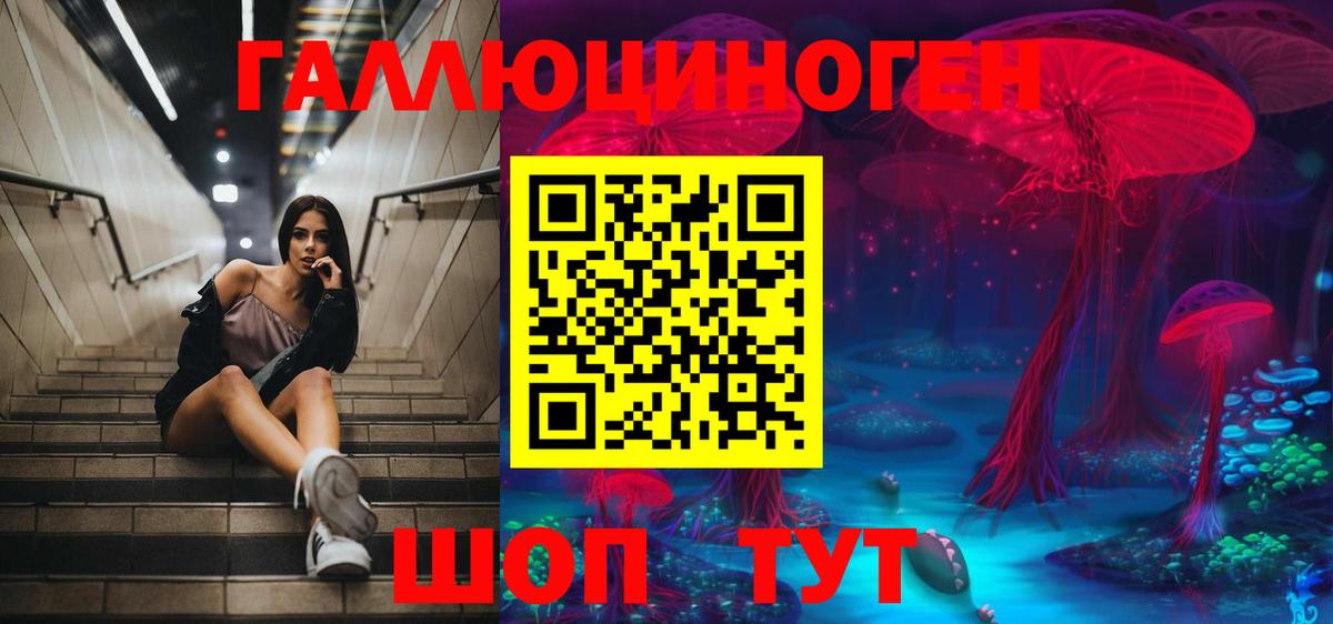 Псилоцибиновые грибы Cubensis Пугачёв