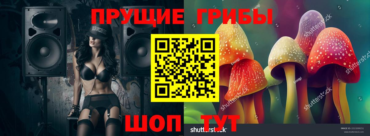 Галлюциногенные грибы MAGIC MUSHROOMS  Галлюциногенные грибы мухоморы  Вход с VPN  Пугачёв 